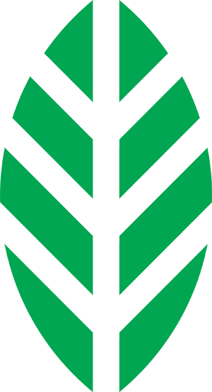 Standard „green leaf” firmy New Balance