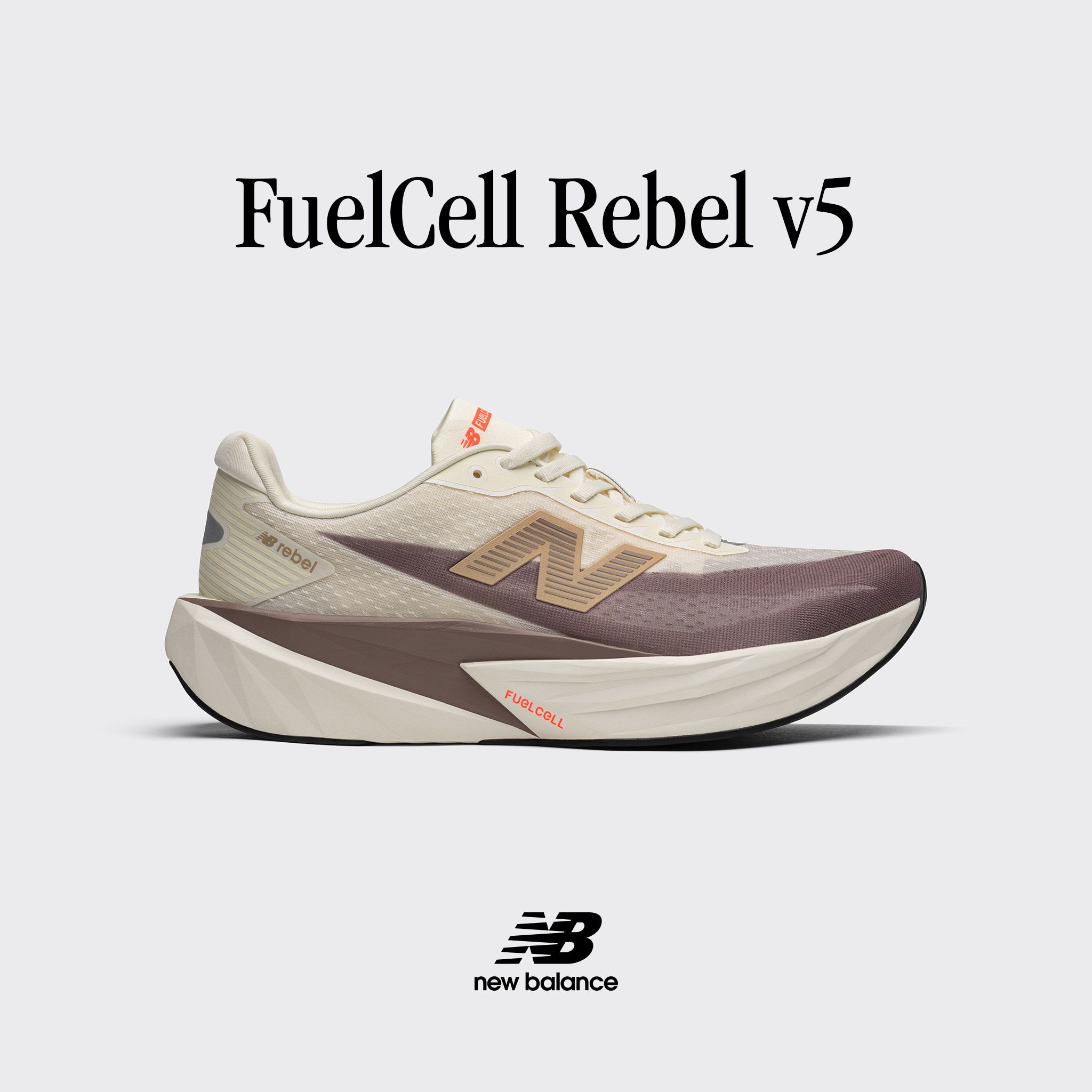 FuelCell Rebel v5